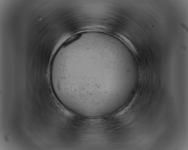 X0000096941196200802291025