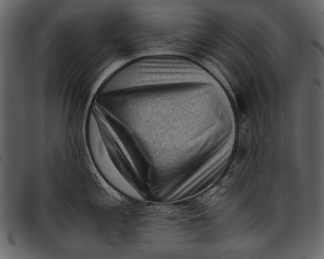 X0000096941197200802291025