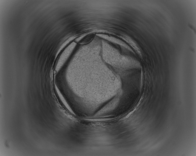 X0000096941198200802291025