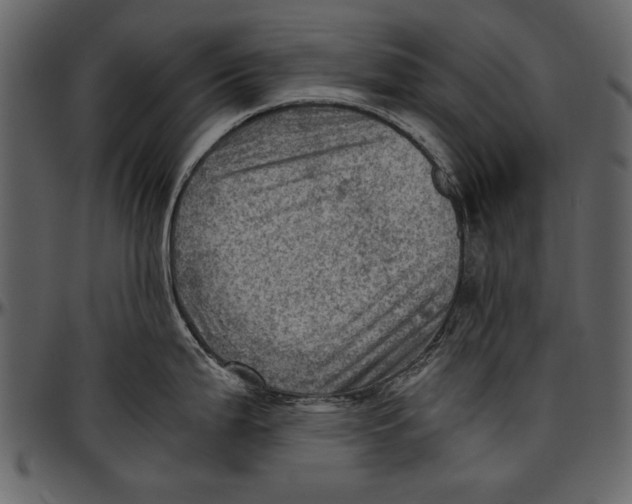 X0000096941199200802291025