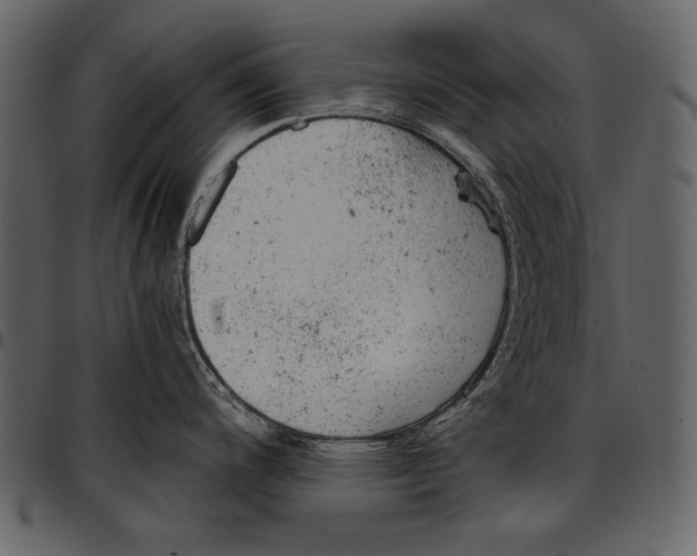 X0000096941200200802291025