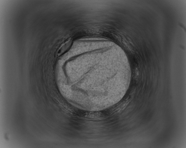 X0000096941201200802291024