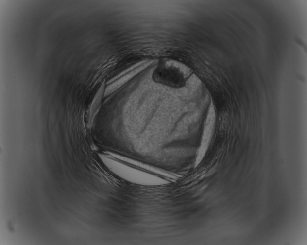 X0000096941202200802291024