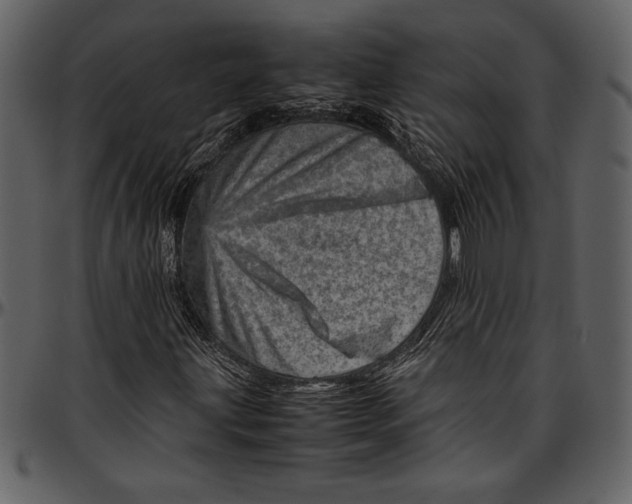 X0000096941203200802291024