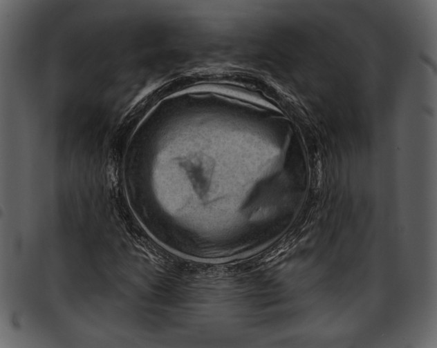 X0000096941206200802291024