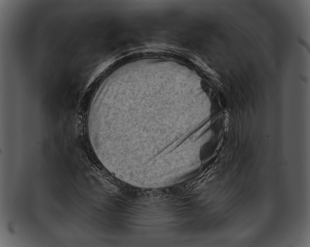 X0000096941208200802291024