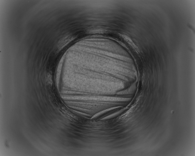 X0000096941209200802291024