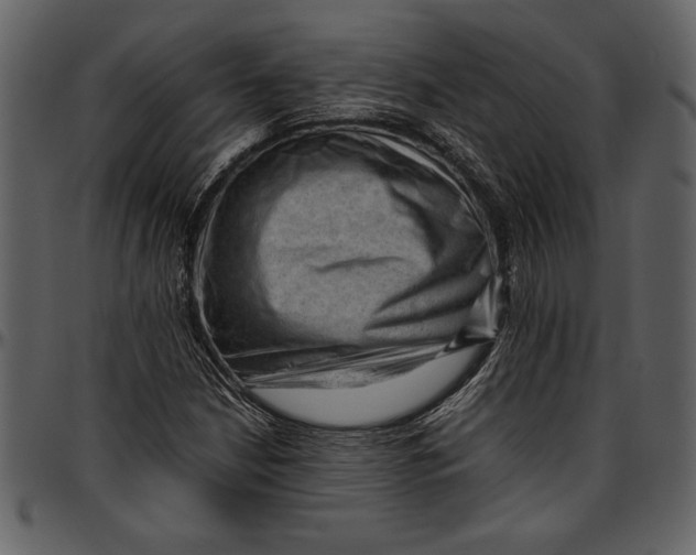 X0000096941210200802291025