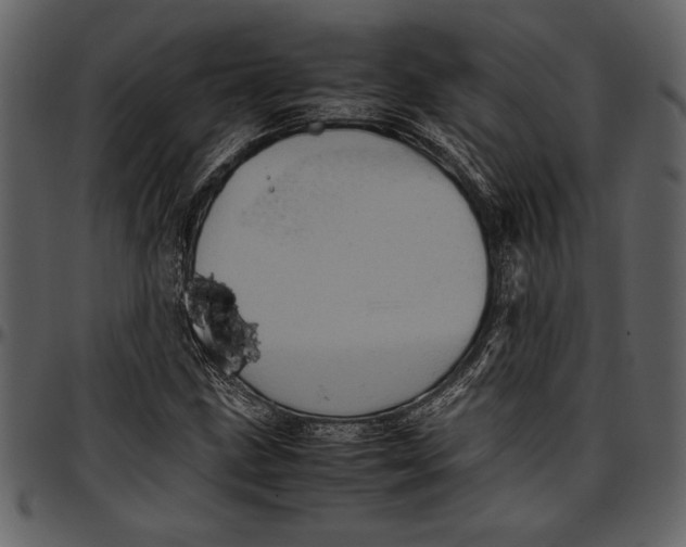 X0000096941211200802291025