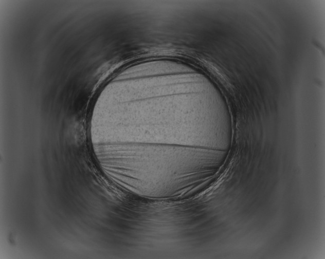 X0000096941212200802291025