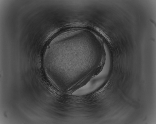 X0000096941213200802291025