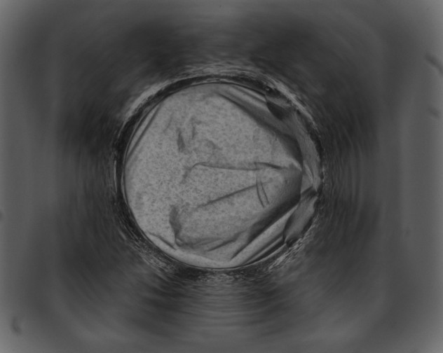 X0000096941214200802291025