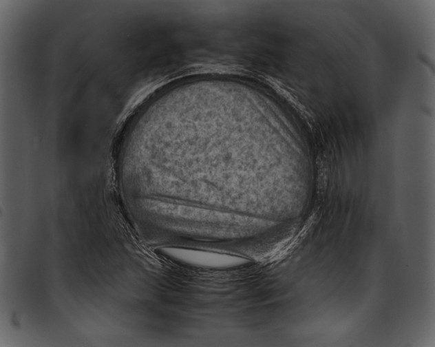 X0000096941215200802291025