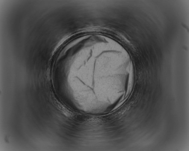 X0000096941216200802291025