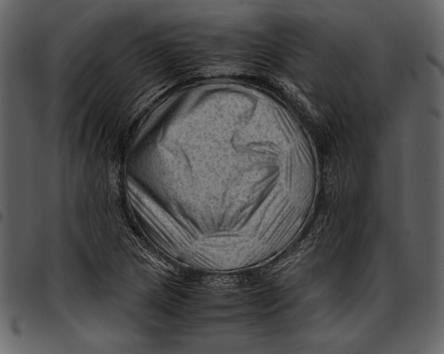 X0000096941217200802291025