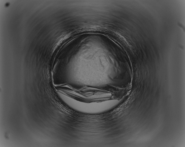 X0000096941218200802291025