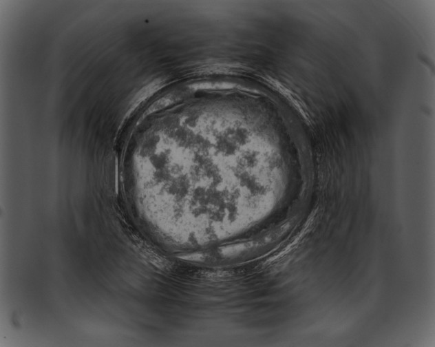 X0000096941219200802291025