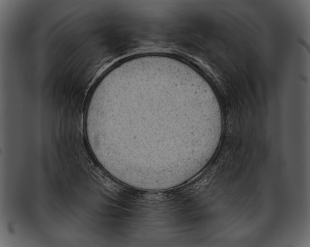 X0000096941220200802291025