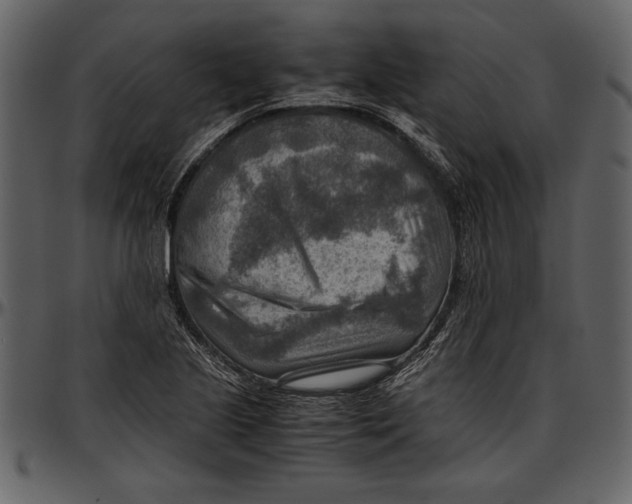 X0000096941221200802291025