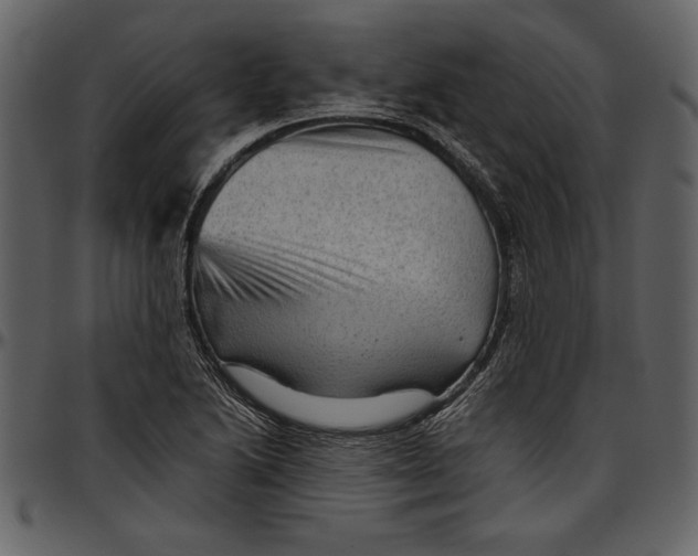 X0000096941222200802291025