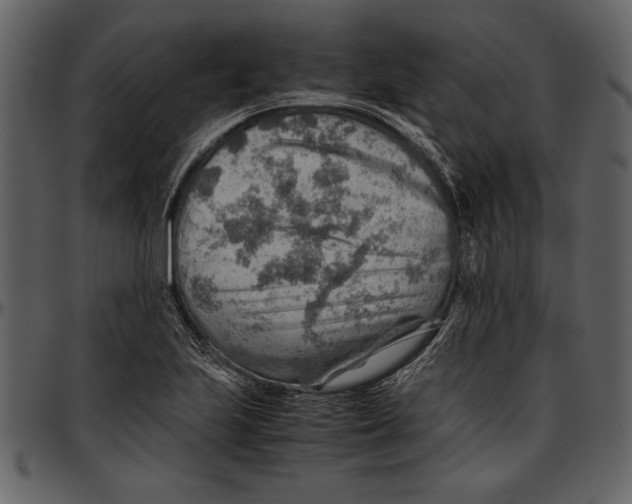 X0000096941223200802291025