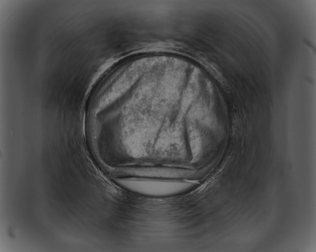 X0000096941224200802291025