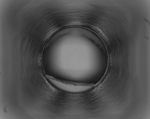 X0000096941225200802291025