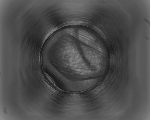 X0000096941226200802291025