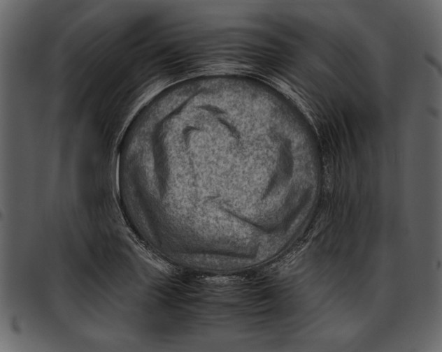 X0000096941227200802291025