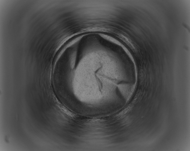 X0000096941228200802291025