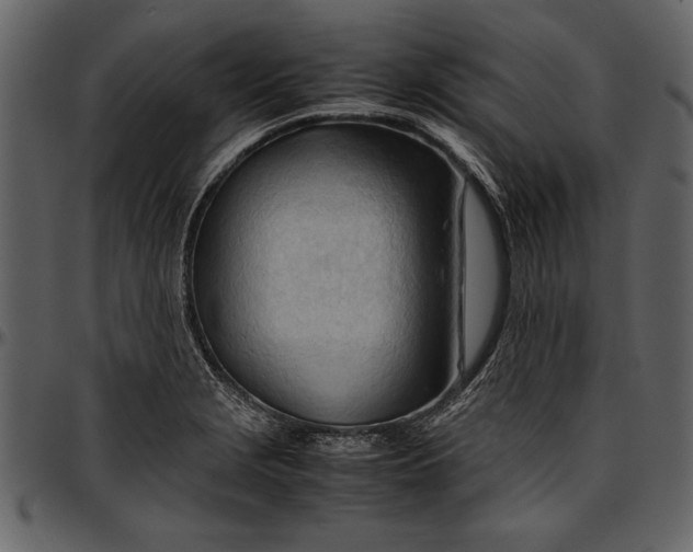 X0000096941229200802291025