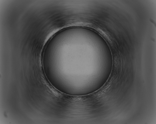 X0000096941230200802291025