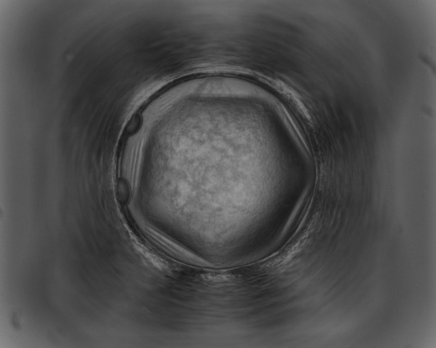 X0000096941231200802291025