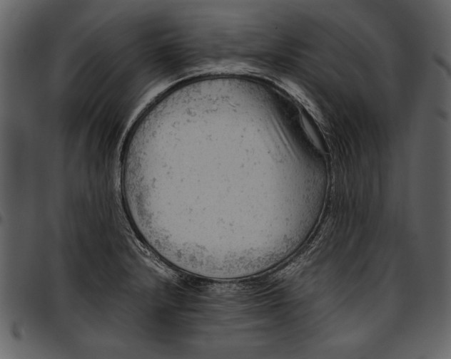 X0000096941232200802291025