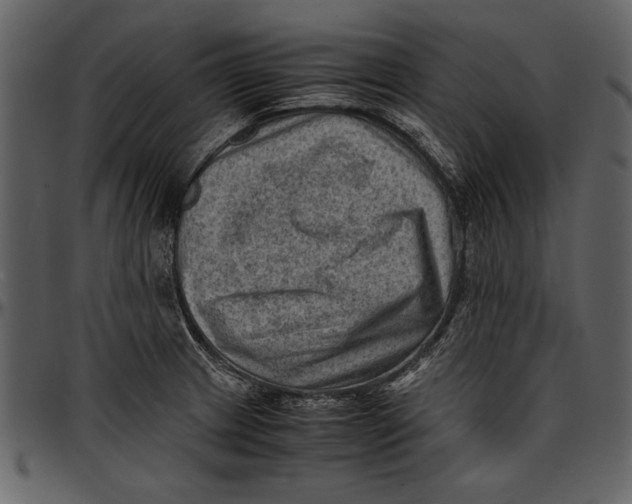 X0000096941233200802291025