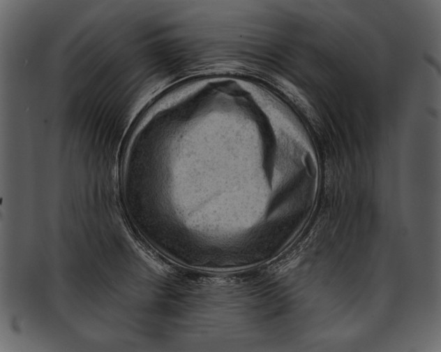 X0000096941234200802291025