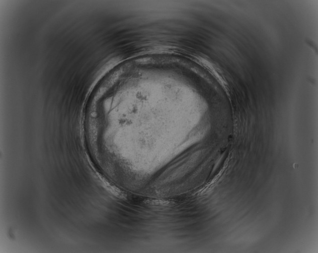 X0000096941235200802291025