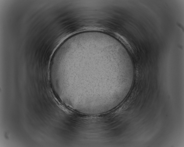 X0000096941236200802291025