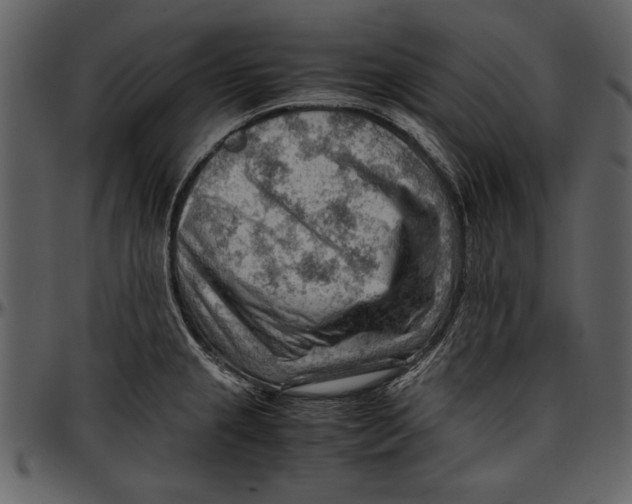 X0000096941237200802291025