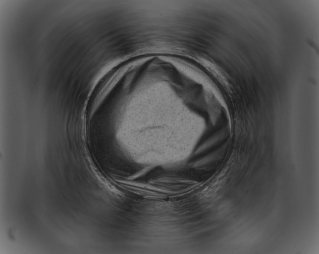 X0000096941238200802291025