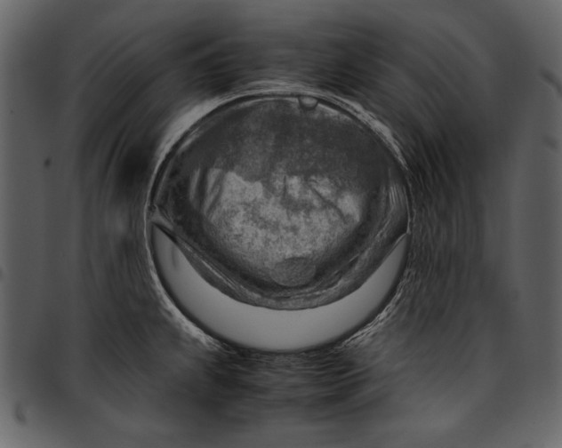 X0000096941239200802291025