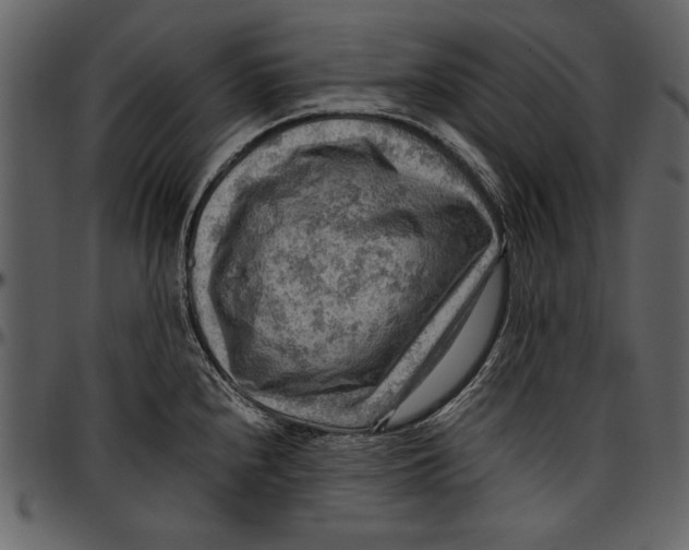 X0000096941240200802291025