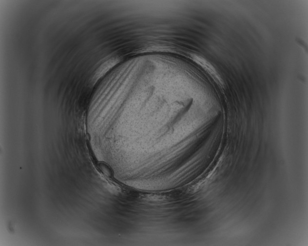 X0000096941241200802291025