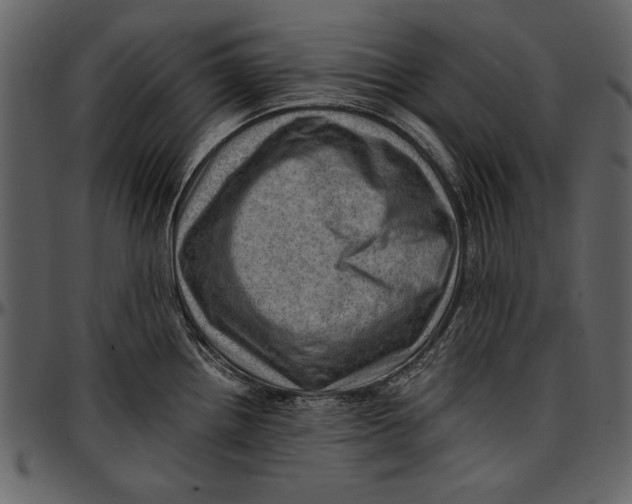 X0000096941242200802291025