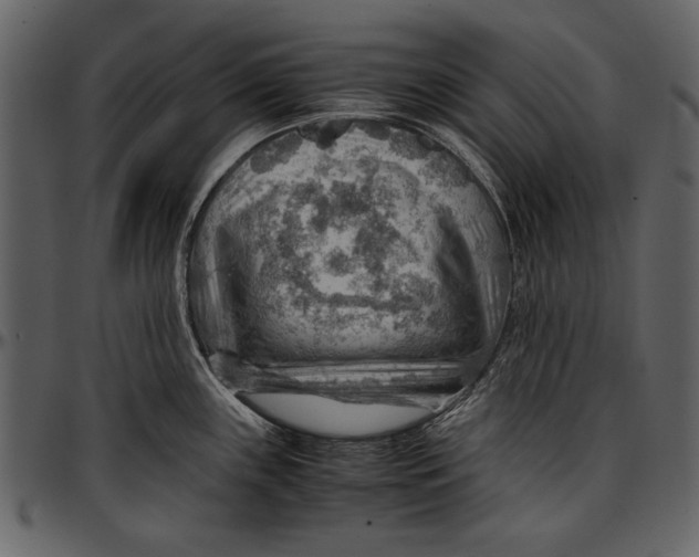 X0000096941243200802291025