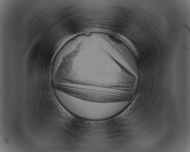 X0000096941244200802291025