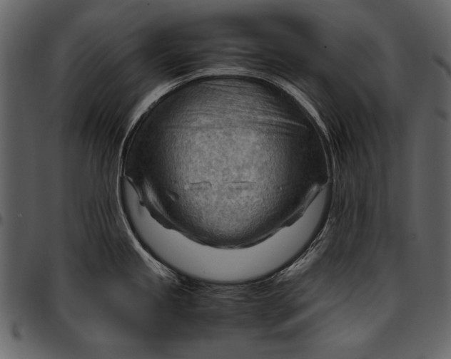 X0000096941245200802291025