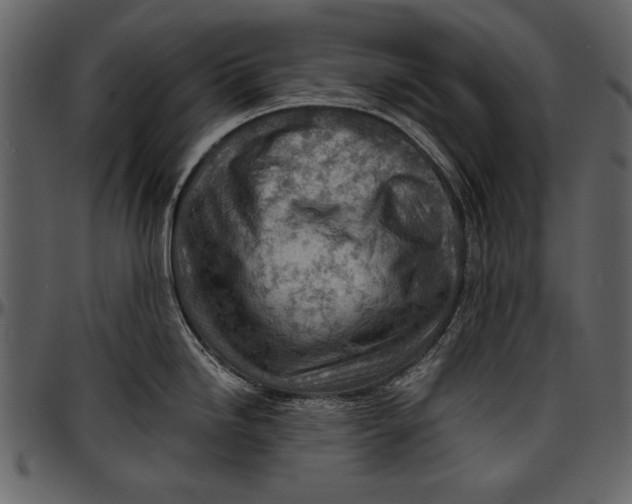 X0000096941246200802291025