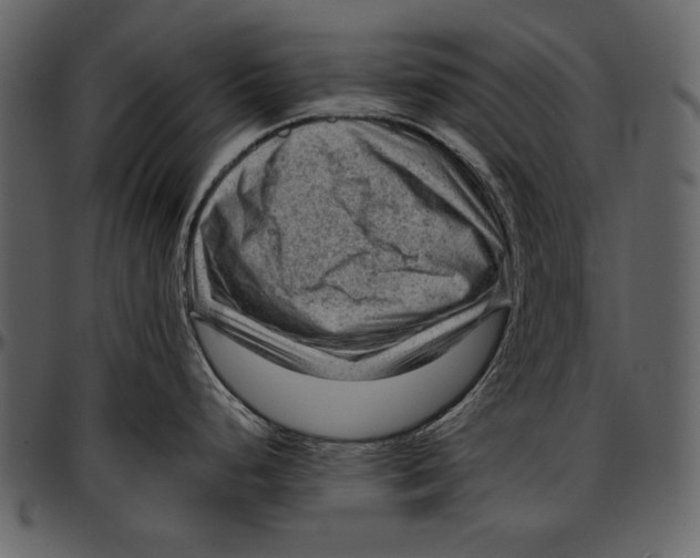 X0000096941248200802291025