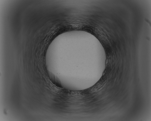 X0000096941249200802291024